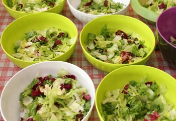 Recht & Sicherheit in der Kita